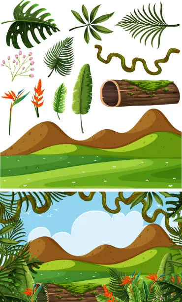 Vector illustration of Nature objects and scene