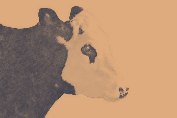 istock Soft Cow Portrait in Monochrome Effect 1168689497