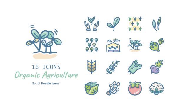 ilustrações de stock, clip art, desenhos animados e ícones de organic agriculture doodle icon collection design - broccoli raab