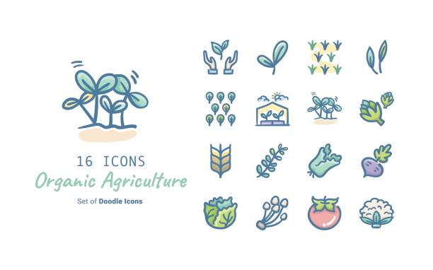 органическое сельское хозяйство doodle икона коллекция дизайн - broccoli raab stock illustrations