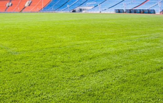 Maintenance of the lush green football field