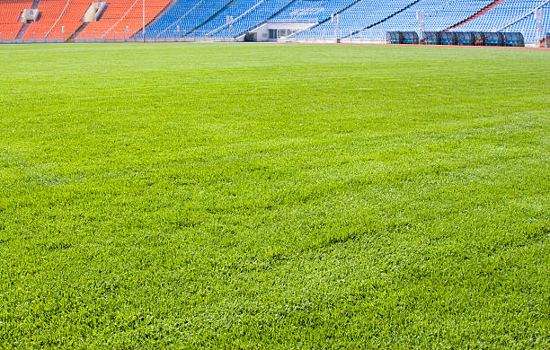 Green field for playing sports Green grassy sporting field tribune tower stock pictures, royalty-free photos & images