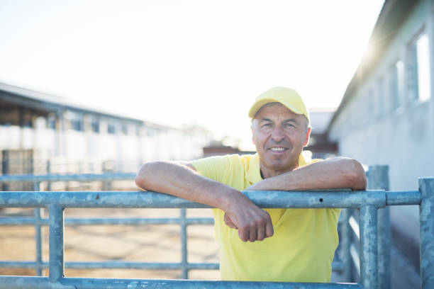 istock Senior farmer in buffalo dairy farm 1168698959