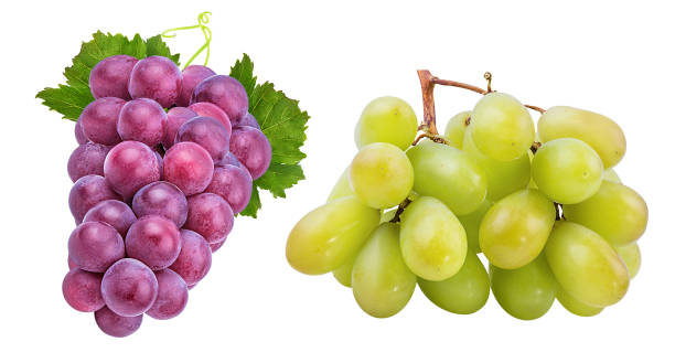 istock Grapes with leaf isolated on white background with clipping pass 1168699779