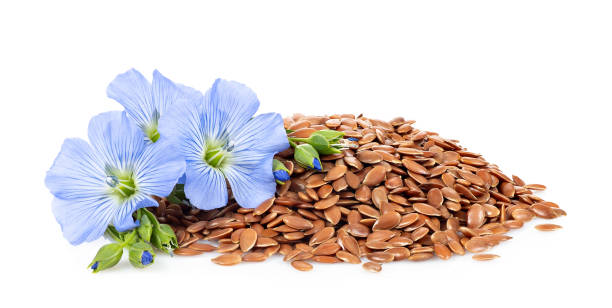 istock heap of flax seeds and flowers 1168701132