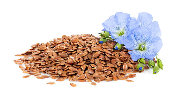 istock heap of flax seeds and flowers 1168701140