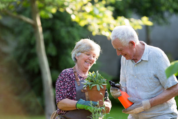 planta de macetas de pareja senior - gardening senior adult action couple fotografías e imágenes de stock