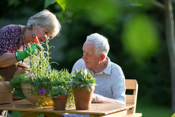 istock Senior couple potting plants 1168702305