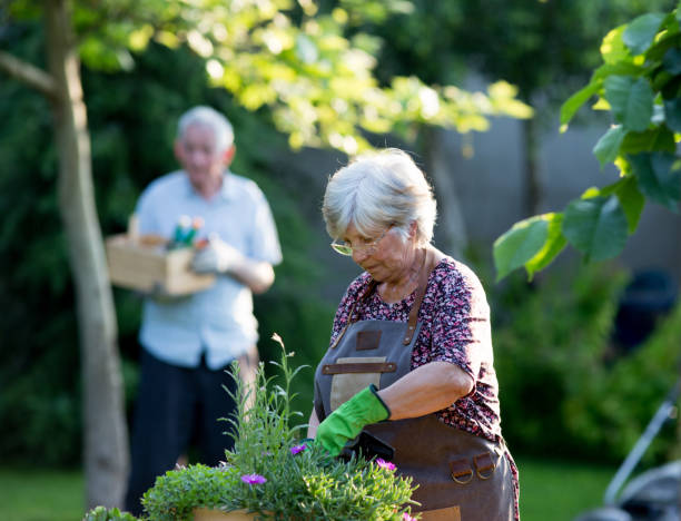 istock Senior couple potting plants 1168702320