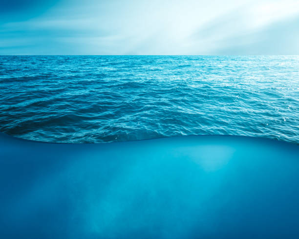 istock wavy sea water surface with sky and underwater 1168703079