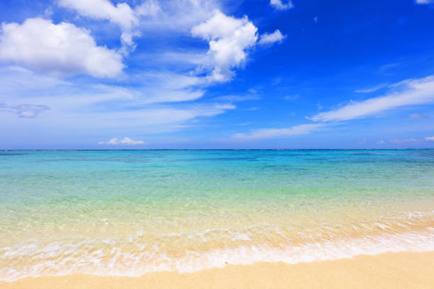 istock Beautiful tropical beach at Okinawa. 1168703250