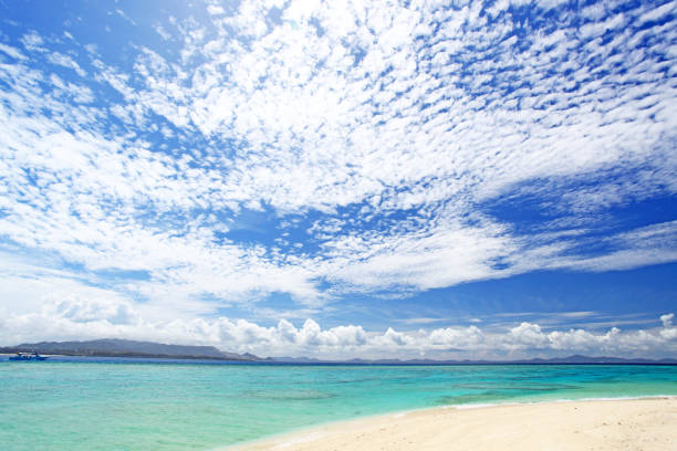 istock Beautiful tropical beach at Okinawa. 1168703272