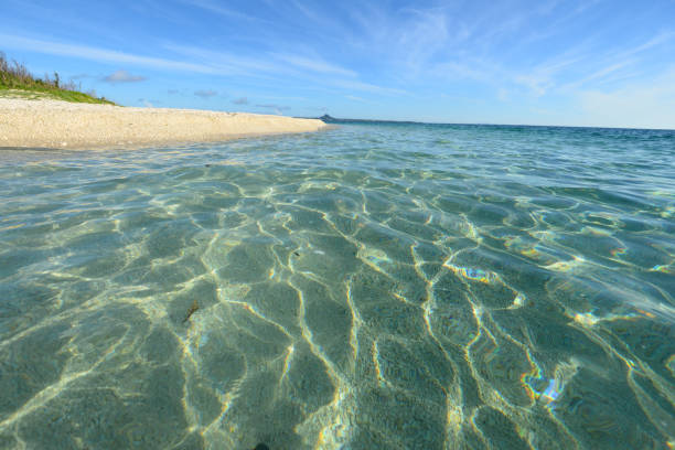 istock Beautiful tropical beach at Okinawa. 1168703339
