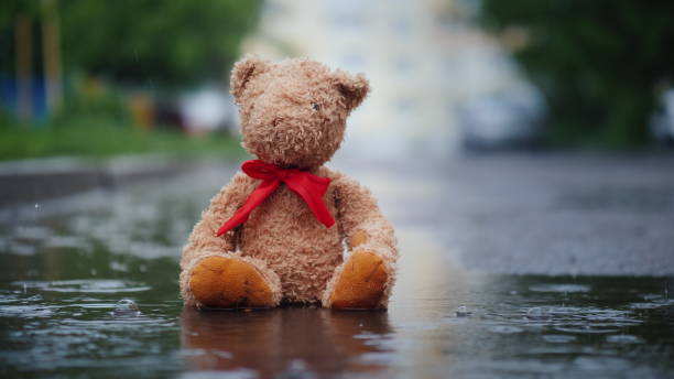 istock Lonely teddy bear sits in a puddle in the rain 1168703996