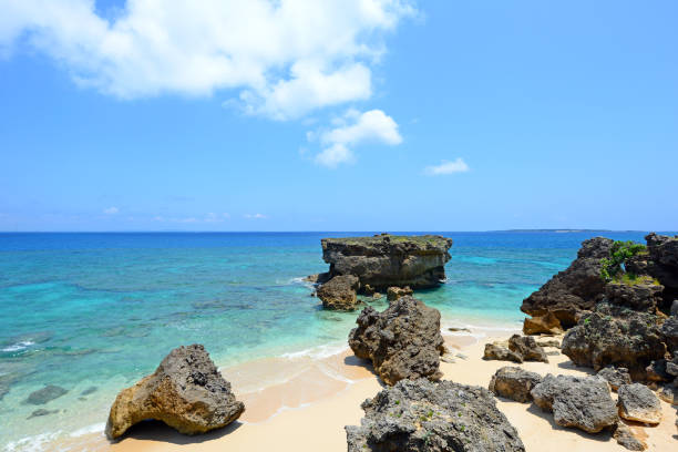 istock Beautiful tropical beach at Okinawa. 1168704044