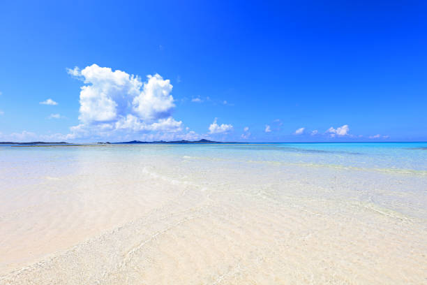 istock Beautiful tropical beach at Okinawa. 1168706248