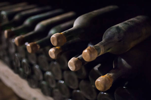istock Enoteca. Wine collection in a wine cellar. Bottles on a rack closeup 1168707146