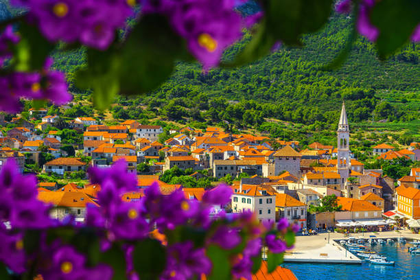Jelsa old town with stone houses and fishing boats, Croatia Admirable travel and excursion destination. Mediterranean old fishing and touristic village with stone houses. Jelsa village, Hvar island, Dalmatia, Croatia, Europe jelsa stock pictures, royalty-free photos & images