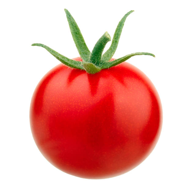 un pequeño tomate de cereza de vid aislado sobre fondo blanco - tomatoes on vine fotografías e imágenes de stock