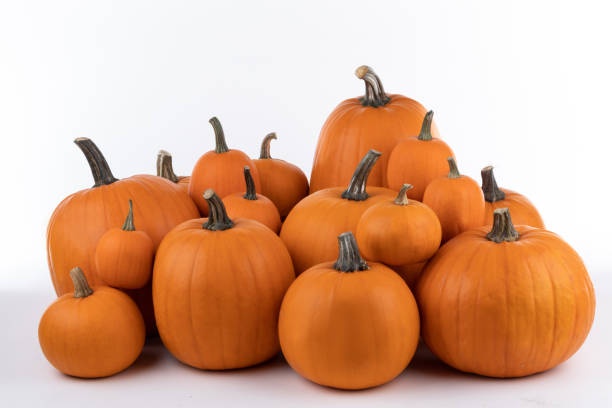 istock Heao of orange pumpkins 1168711305