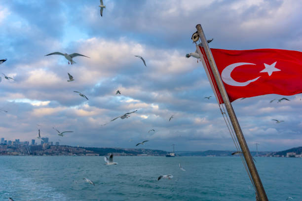 istock Waving turkish flag over the sea with seagulls flying 1168713617