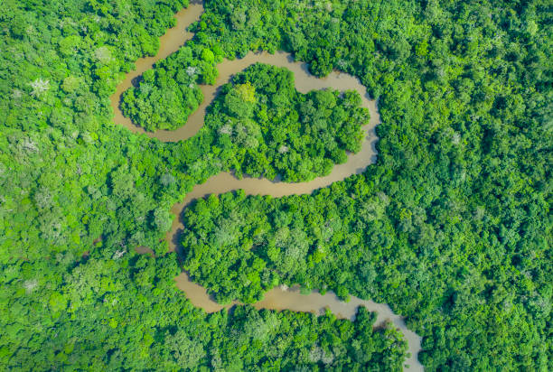 Heart shaped meandering jungle river in the rainforest, Congo Basin