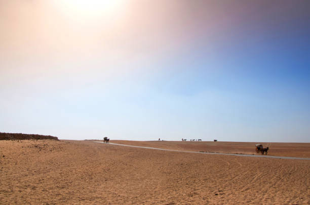 istock Amazing minimalist Sahara desert landscape 1168720568