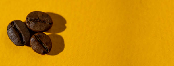 istock the pattern of coffee beans on colored background 1168720678