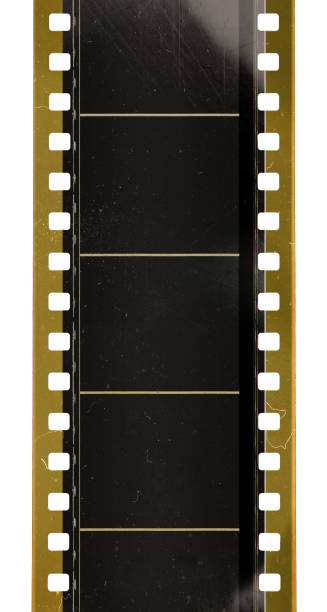 long 35mm film or movie strip with empty frames or cells on white background long 35mm film strip isolated, film texture 16mm film motion picture camera photos stock pictures, royalty-free photos & images