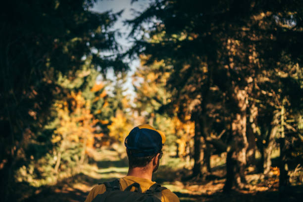 istock Autumn in Karkonosze Mountains. Man on a trip 1168727967