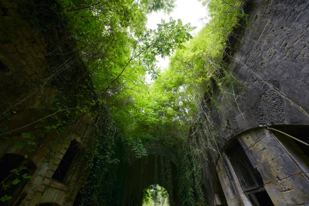 istock Buildings remnant citadel Verdun 1168729131