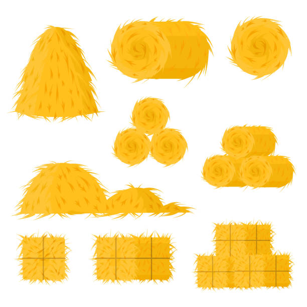 cartoon farbe bale von hay icon set. vektor - heuballen stock-grafiken, -clipart, -cartoons und -symbole