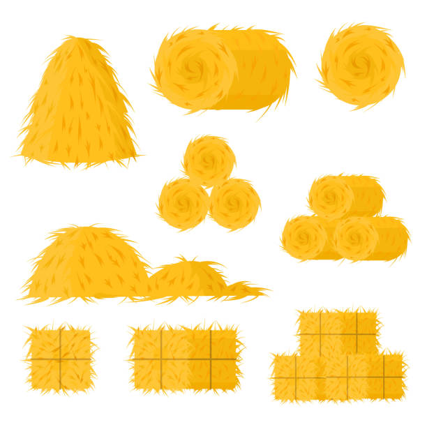 Cartoon Color Bale of Hay Icon Set. Vector Cartoon Color Bale of Hay Icon Set Include of Straw, Haystack and Hayloft. Vector illustration of Icons bale stock illustrations