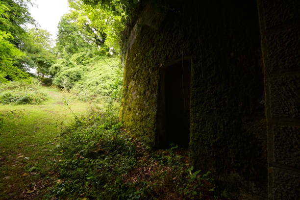istock Buildings remnant citadel Verdun 1168730295