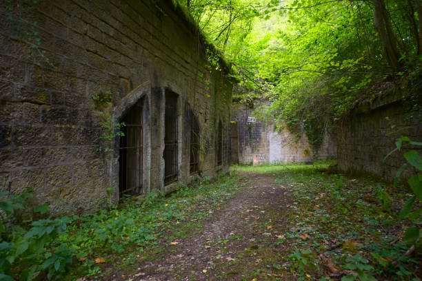 istock Buildings remnant citadel Verdun 1168730813