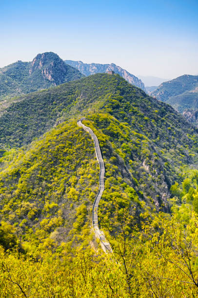 istock The great wall of china beijing summer 1168734399