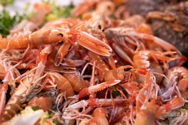 istock Shrimps on Street Market 1168735944