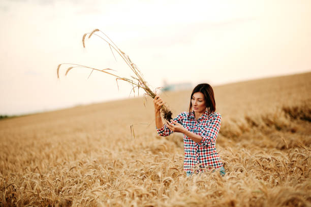 istock Woman examining in the field 1168736153