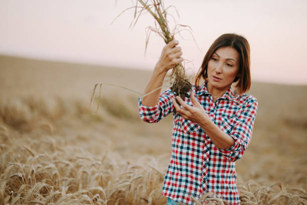 istock Woman examining in the field 1168736175