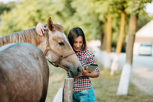 Female working on digital tablet in farm horse