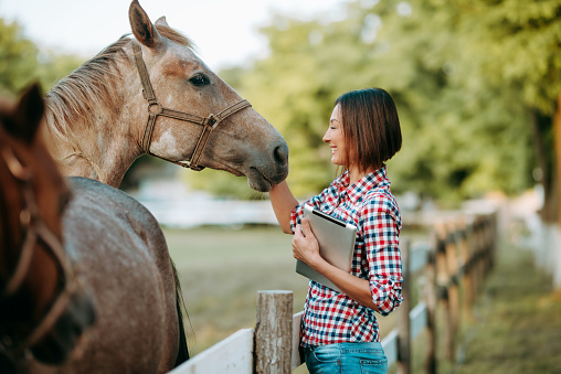 Female working on digital tablet in farm horse