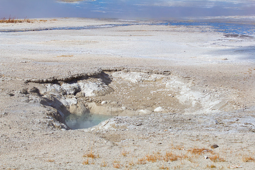 Lower geyser basin in the Yellowstone National park, USA