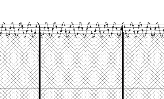 Barbed wire and fence, front view of a wire mesh, black and white. White background and drawing in black. Protection, private place, no access. Protected area