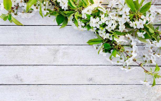 istock Flower background on white wooden background 1168744351