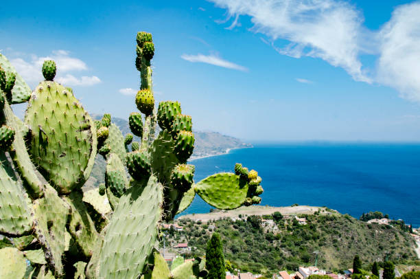 istock The charming village of Taormina 1168746014