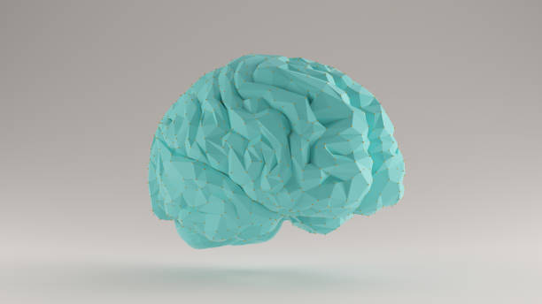 istock Brain Gulf Blue Turquoise and Orange Futuristic Artificial Intelligence 3 Quarter Right View 1168749296