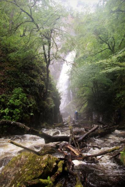 istock The Grey Mare’s Tail waterfall in Kinglochleven, Glencoe Nature Reserve, Scotland. 1168749327