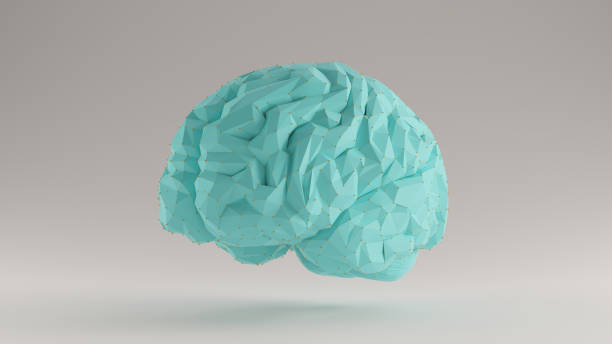 istock Brain Gulf Blue Turquoise and Orange Futuristic Artificial Intelligence 3 Quarter Left View 1168749377