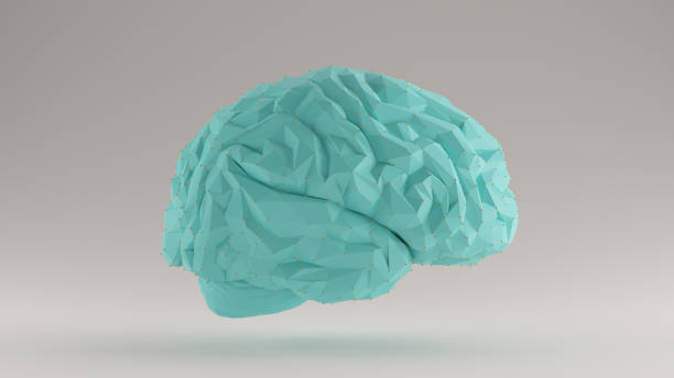 istock Brain Gulf Blue Turquoise and Orange Futuristic Artificial Intelligence Right View 1168749393