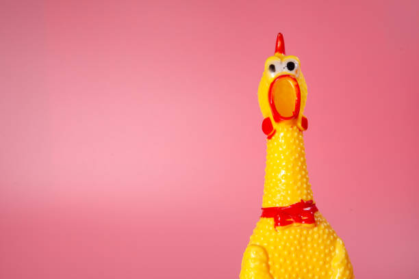 istock squawking chicken or squeaky toy are shouting and copy space pastel background. 1168749566